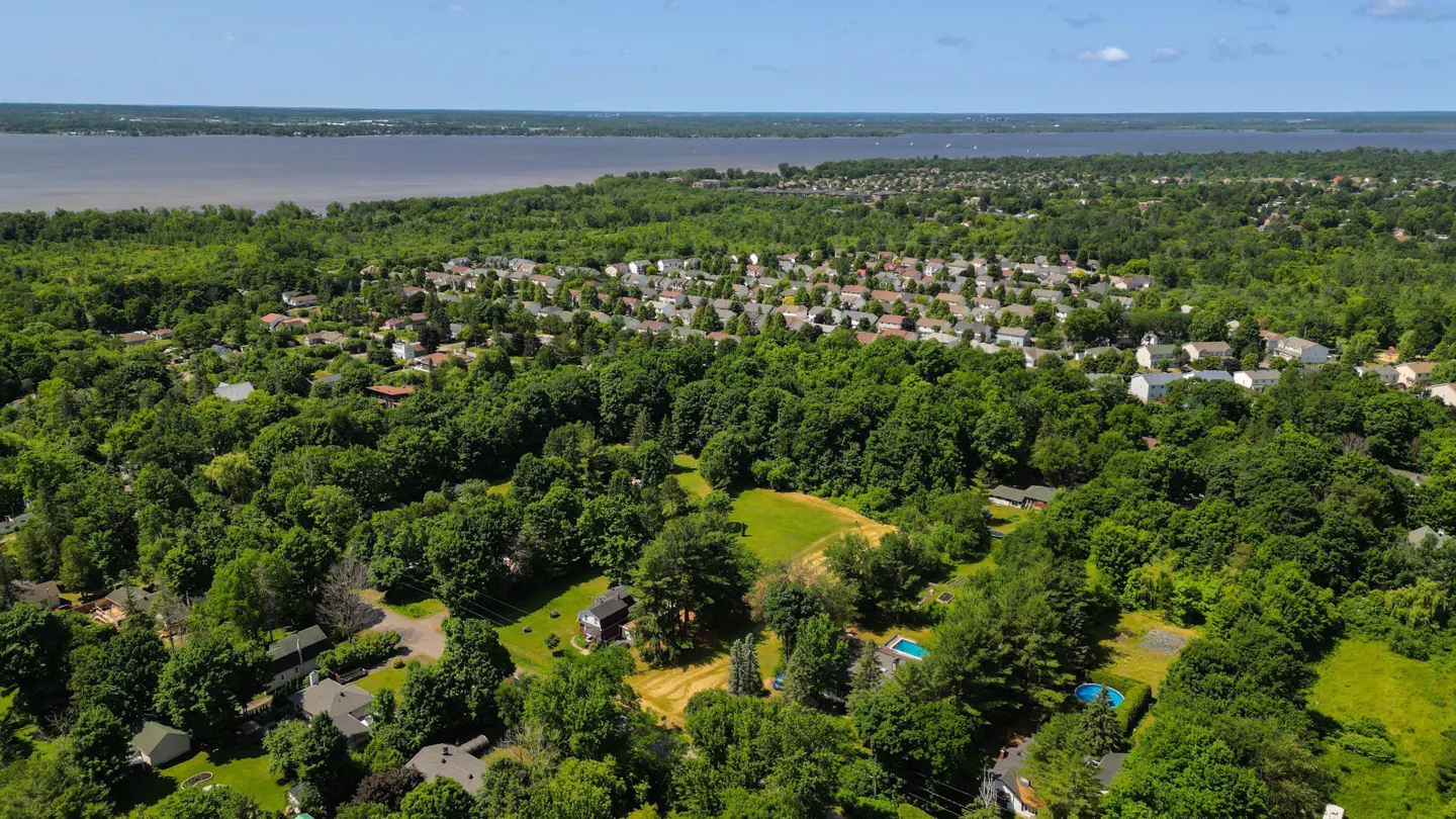 Aerial view of a lush, tree-filled residential neighborhood bordering a large body of water under a clear blue sky.
