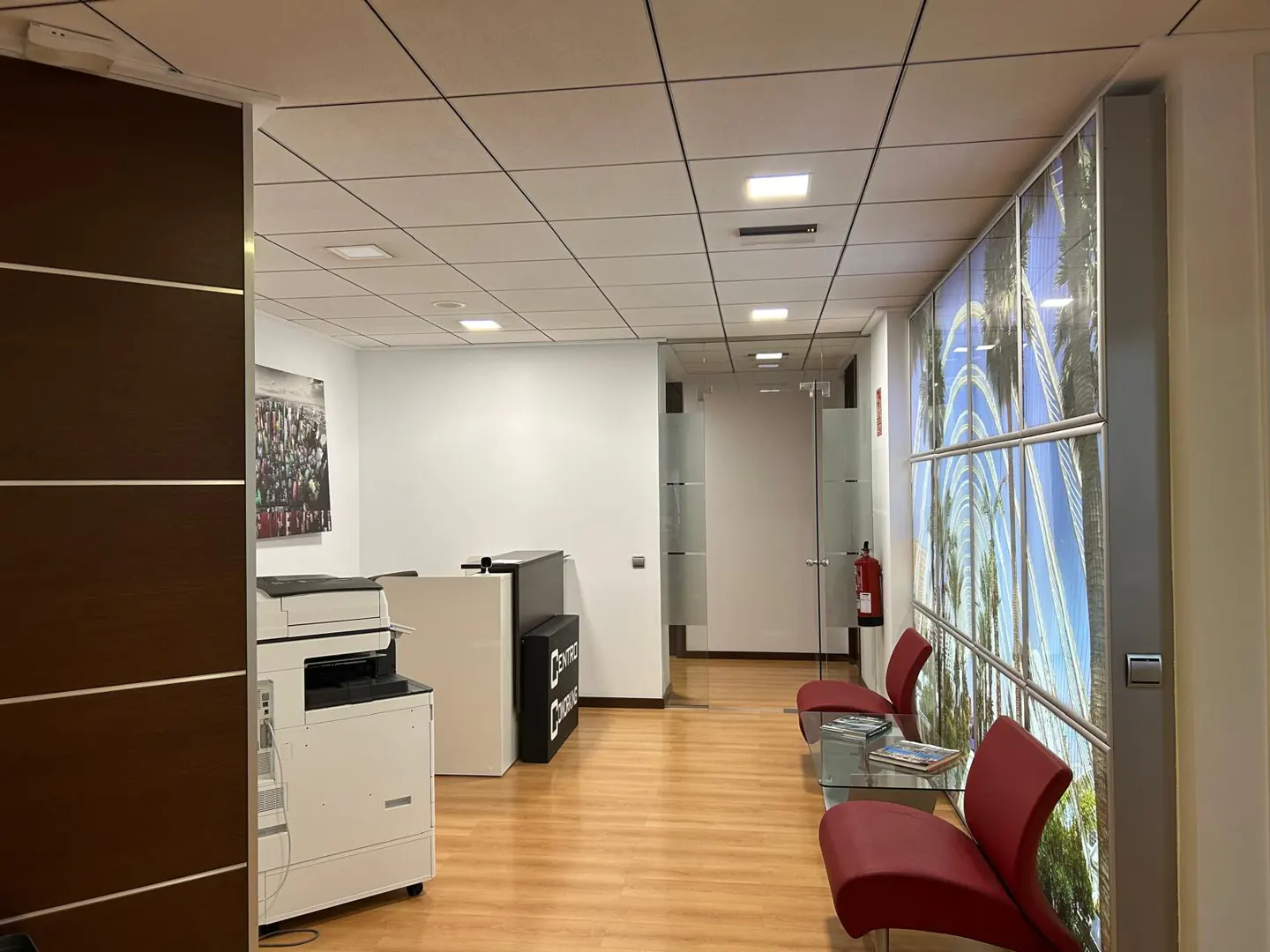 Office interior with a reception desk, printer, and waiting area with red chairs and a glass table. A large palm tree mural is on the wall.