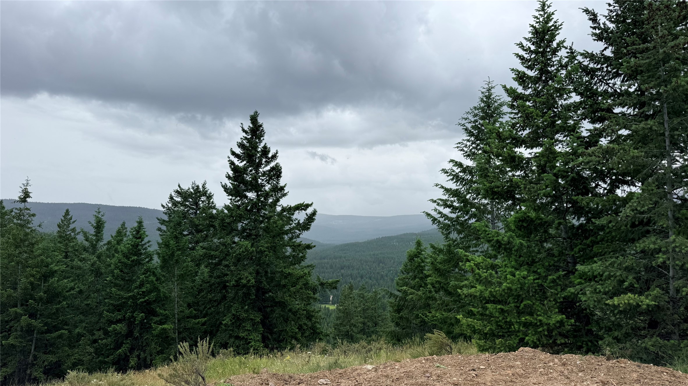 Almost 80 Acres Bordering USFS Land