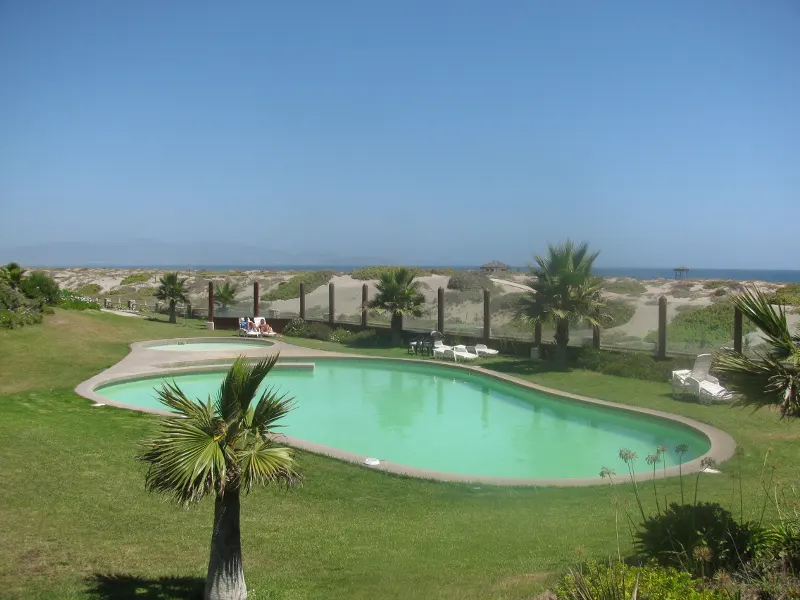 Outdoor pool on green lawn with palm trees, fence, and beach dunes under a clear blue sky.
