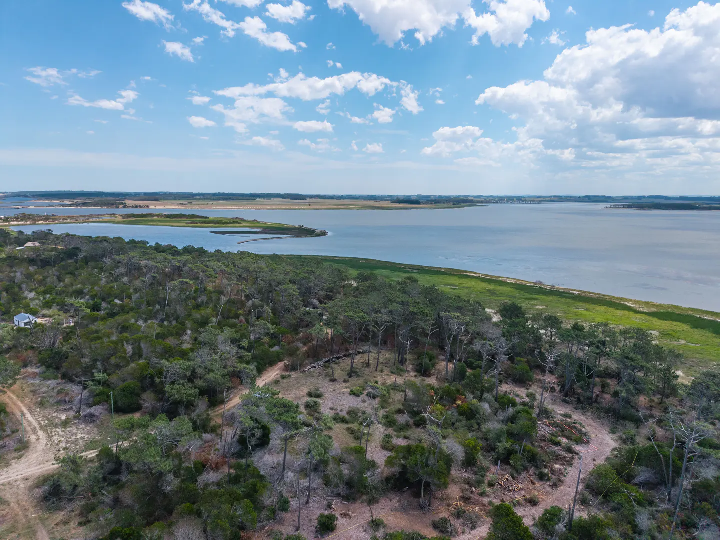 Aerial view of wooded land near a blue bay under a partly cloudy sky.