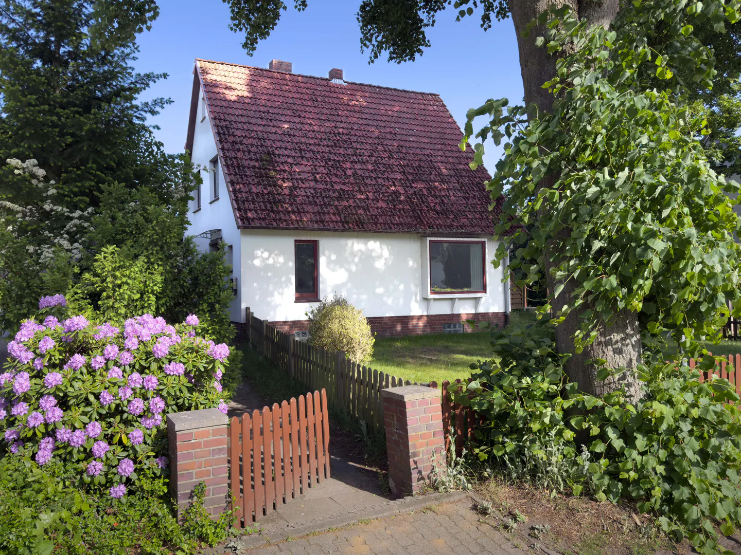White house with a red tiled roof, wooden fence, and blooming purple rhododendrons in a lush, sunny garden.