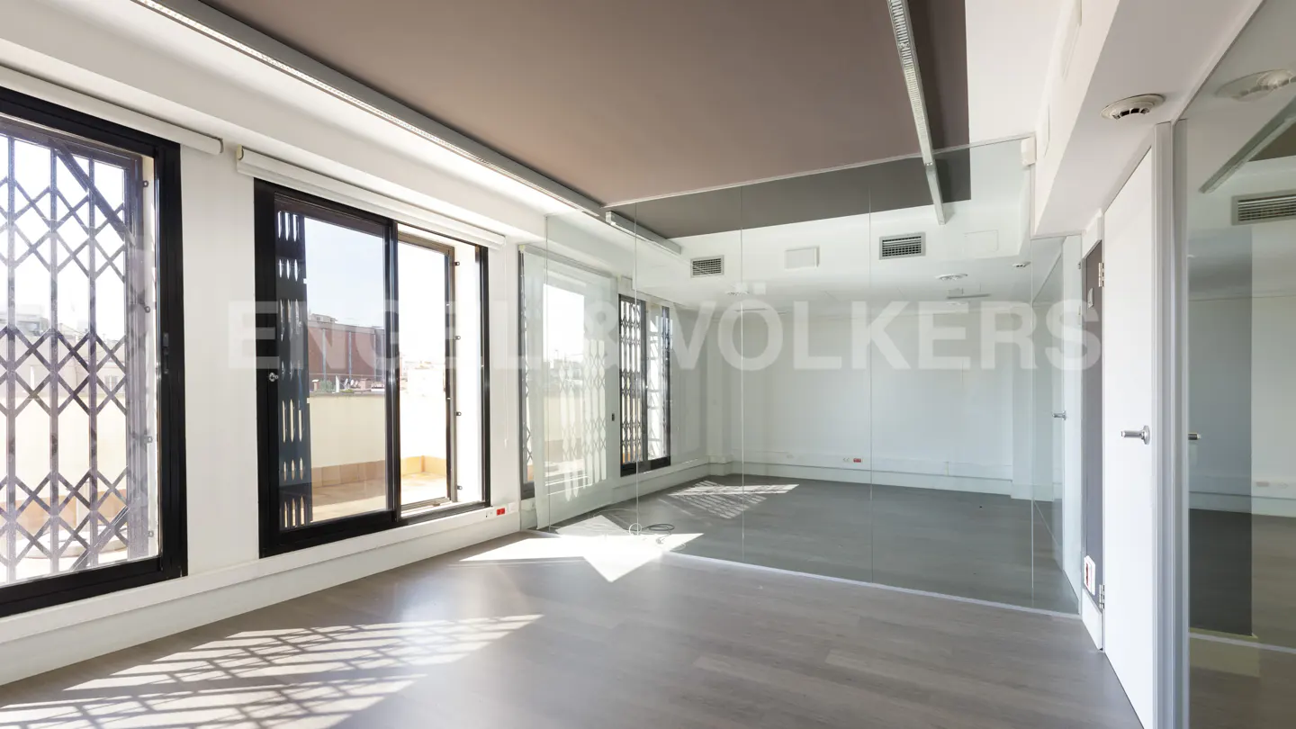 Bright, empty room with gray wood floors, white walls, and black-framed windows with metal security bars.