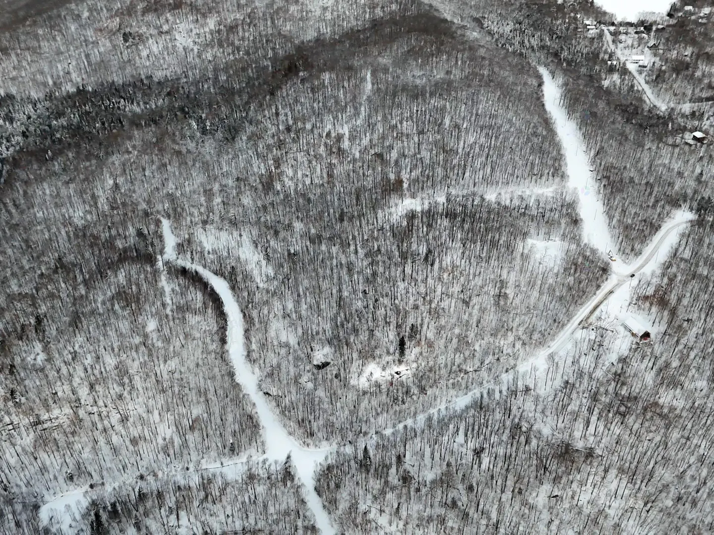 Aerial view of a snow-covered mountain forest with winding roads and ski trails cutting through the trees.