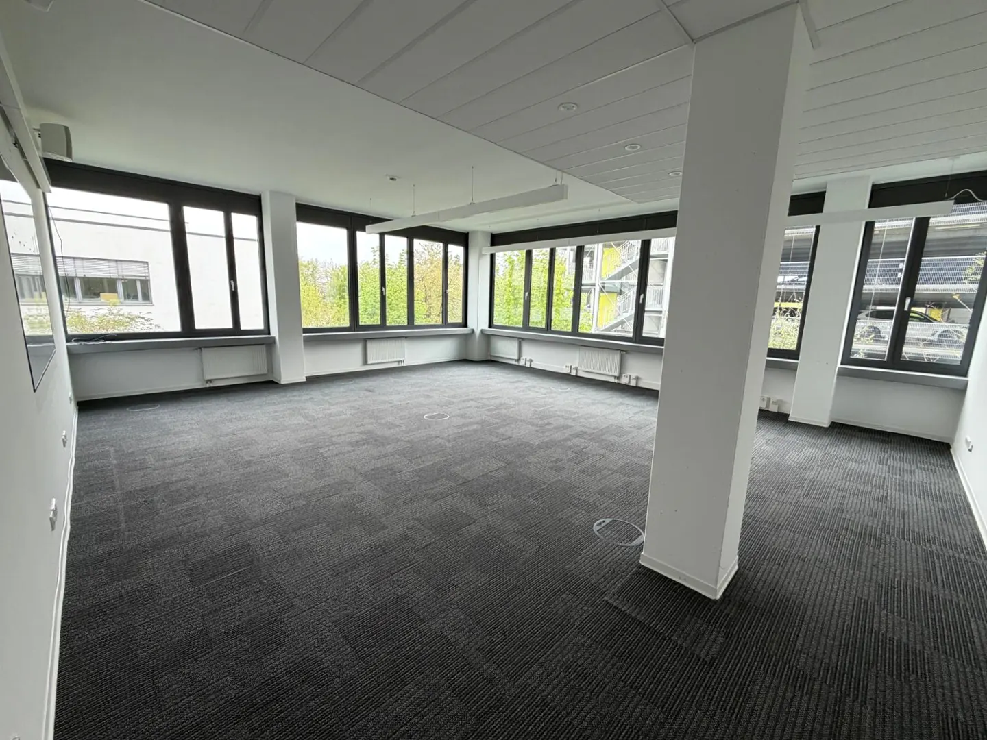 Bright, empty office space with gray carpet, white walls, and black-framed windows showing green trees outside.