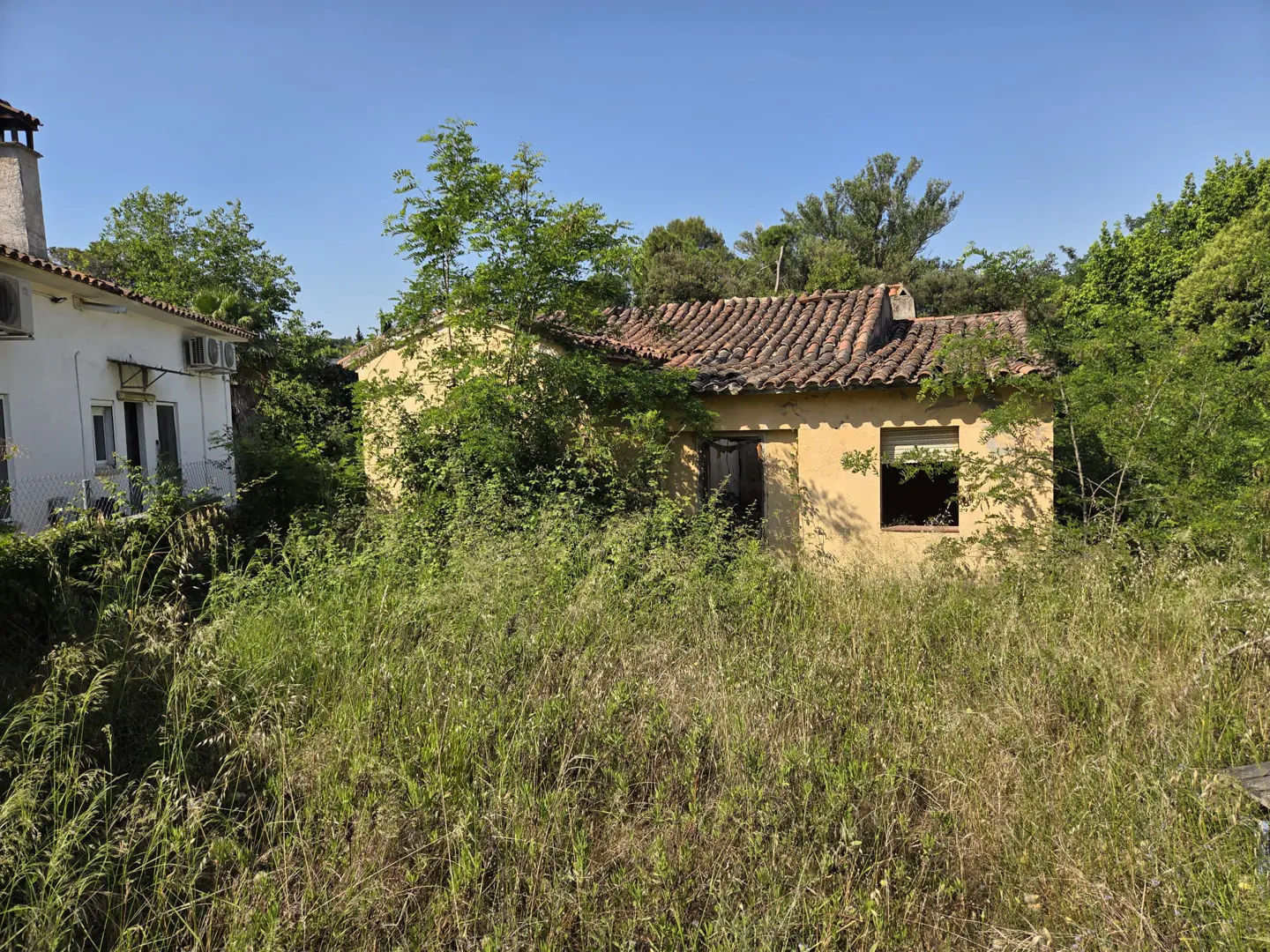 Overgrown yellow house with a red tile roof, surrounded by tall grass and trees, under a blue sky.