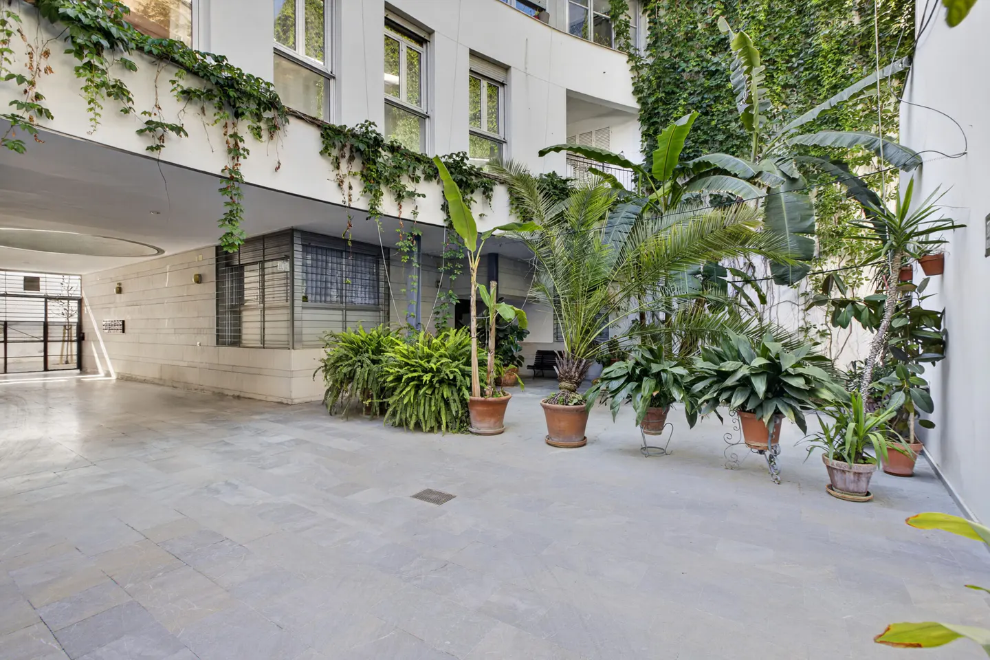 Courtyard view of a white building with potted plants and climbing vines. The ground is paved with gray stone tiles.