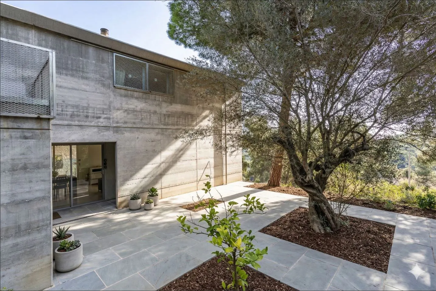Modern concrete home exterior with a stone patio and a large tree. Potted plants line the entrance.