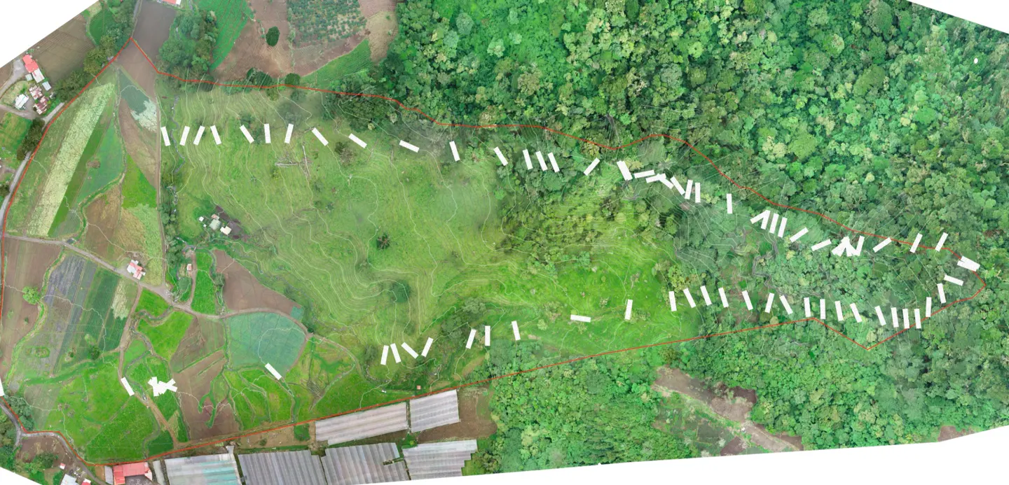 Aerial view of a green property with a red border, featuring rice paddies, a grassy field, and a dense forest. White markers are placed along the property line.