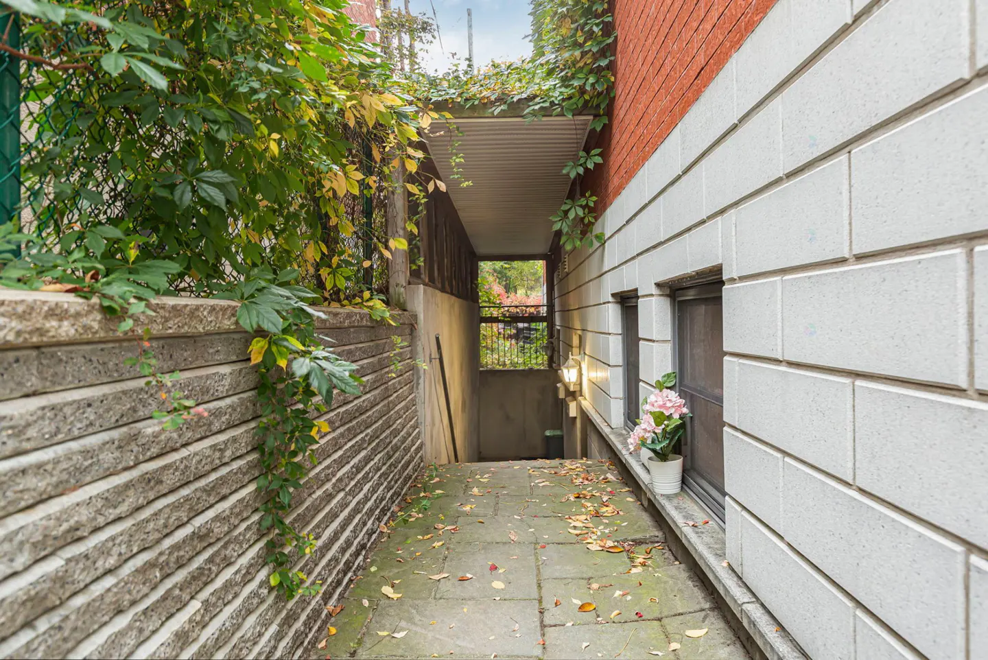 Exterior view of a basement entrance with stone walls, foliage, and a covered walkway.