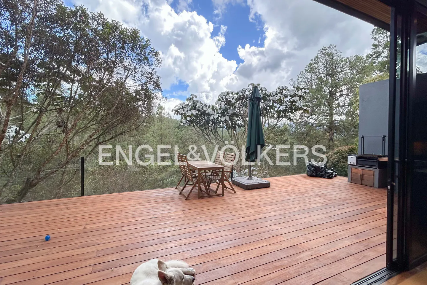 Wide shot of a wood deck with a table, chairs, umbrella, grill, and a sleeping dog. Trees and cloudy sky in the background.