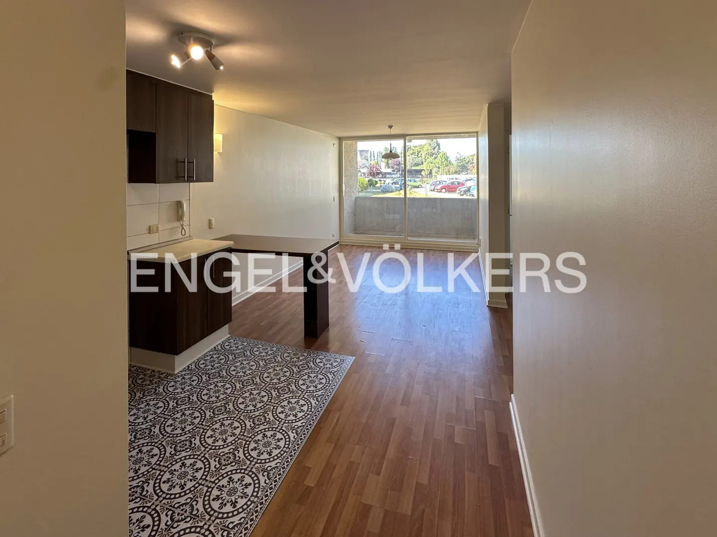 A bright apartment interior with dark wood cabinets, a patterned rug, and a balcony view.
