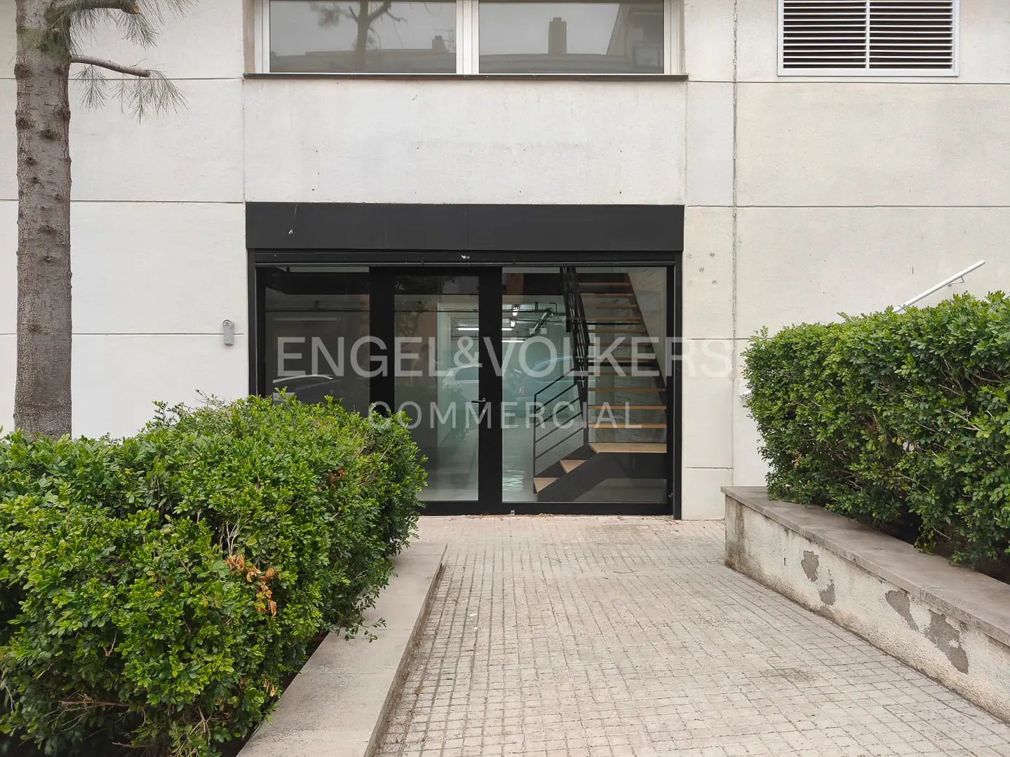 Exterior view of a commercial building entrance with glass doors, a visible interior staircase, and surrounding greenery.