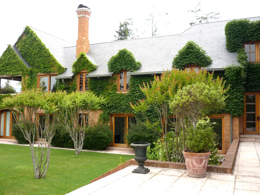 Exterior view of a brick house covered in green ivy, with a gray roof and a brick chimney. A green lawn and trees are in the foreground.