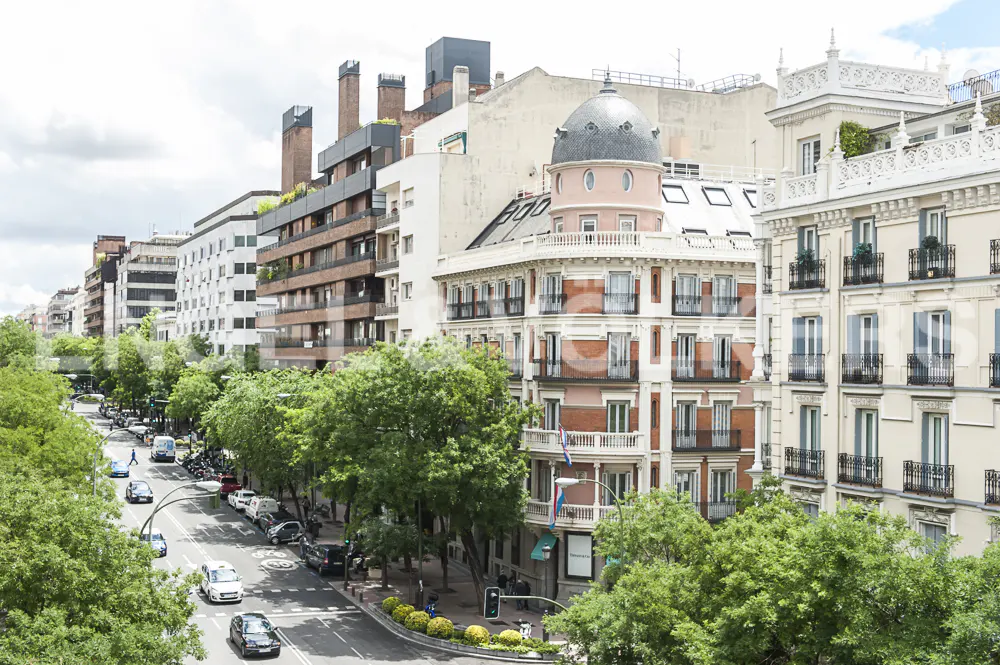 Cityscape view of Madrid, Spain, featuring a street lined with trees and diverse architectural styles of buildings.