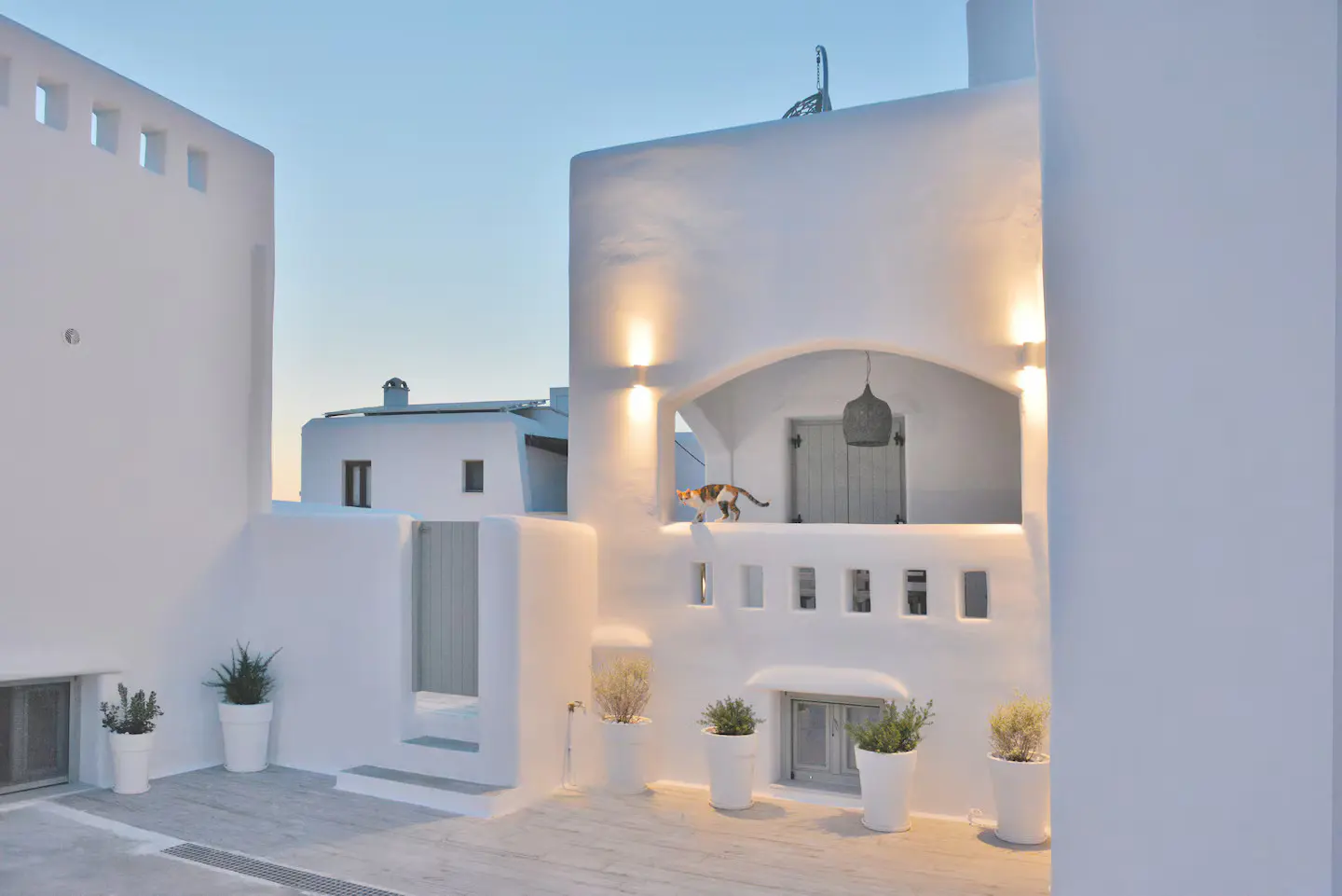 Exterior of a white building with a cat on the balcony, plants in pots, and a blue sky.