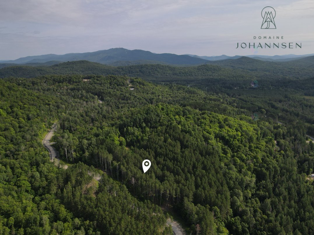 South-west facing lot in a pine forest