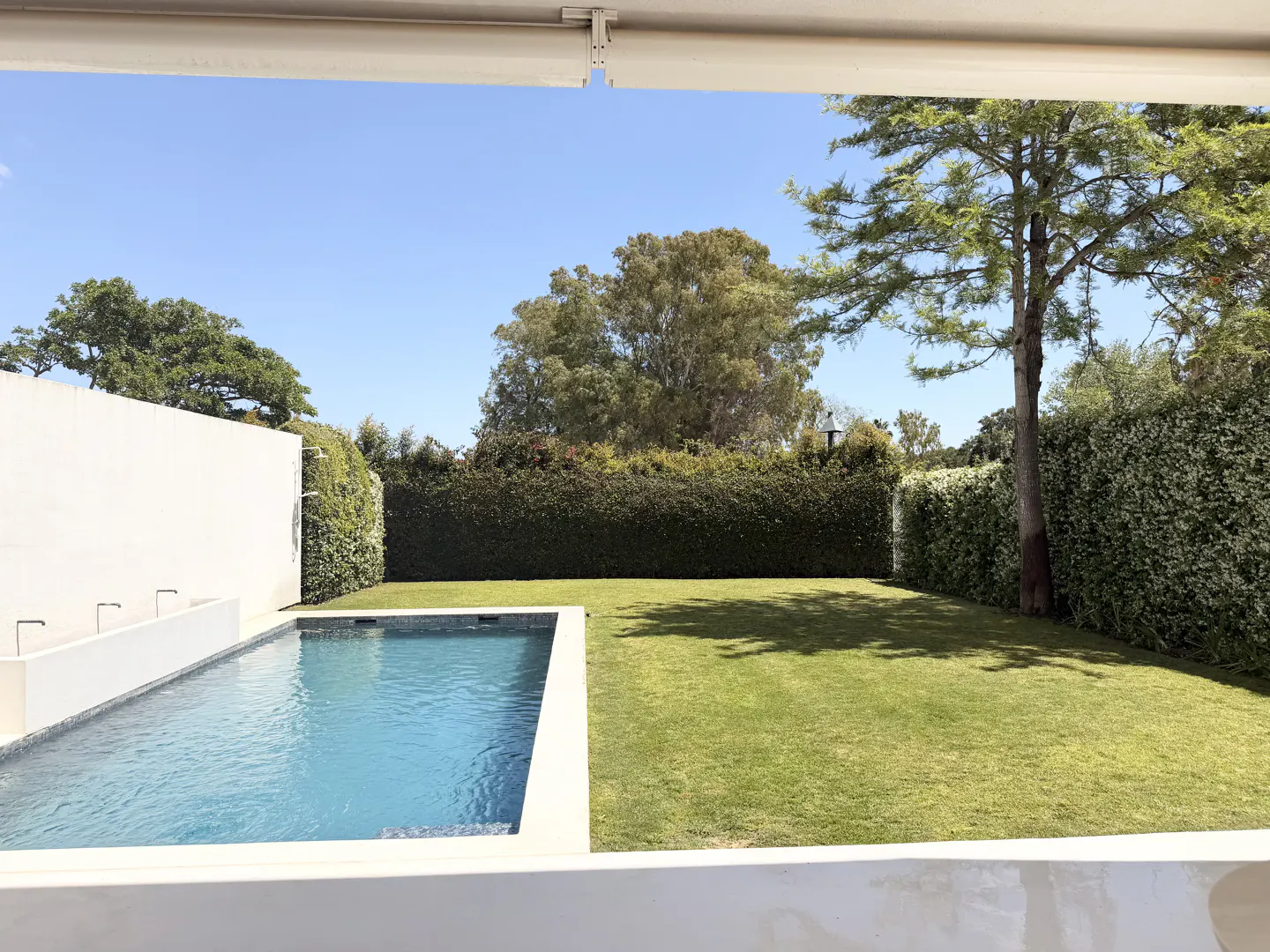A view of a backyard with a pool, green lawn, and tall hedges under a blue sky.