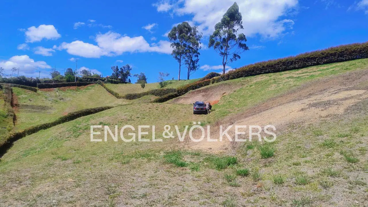 A grassy hillside with a car parked near a person, under a blue sky with white clouds. Tall trees are visible in the background.