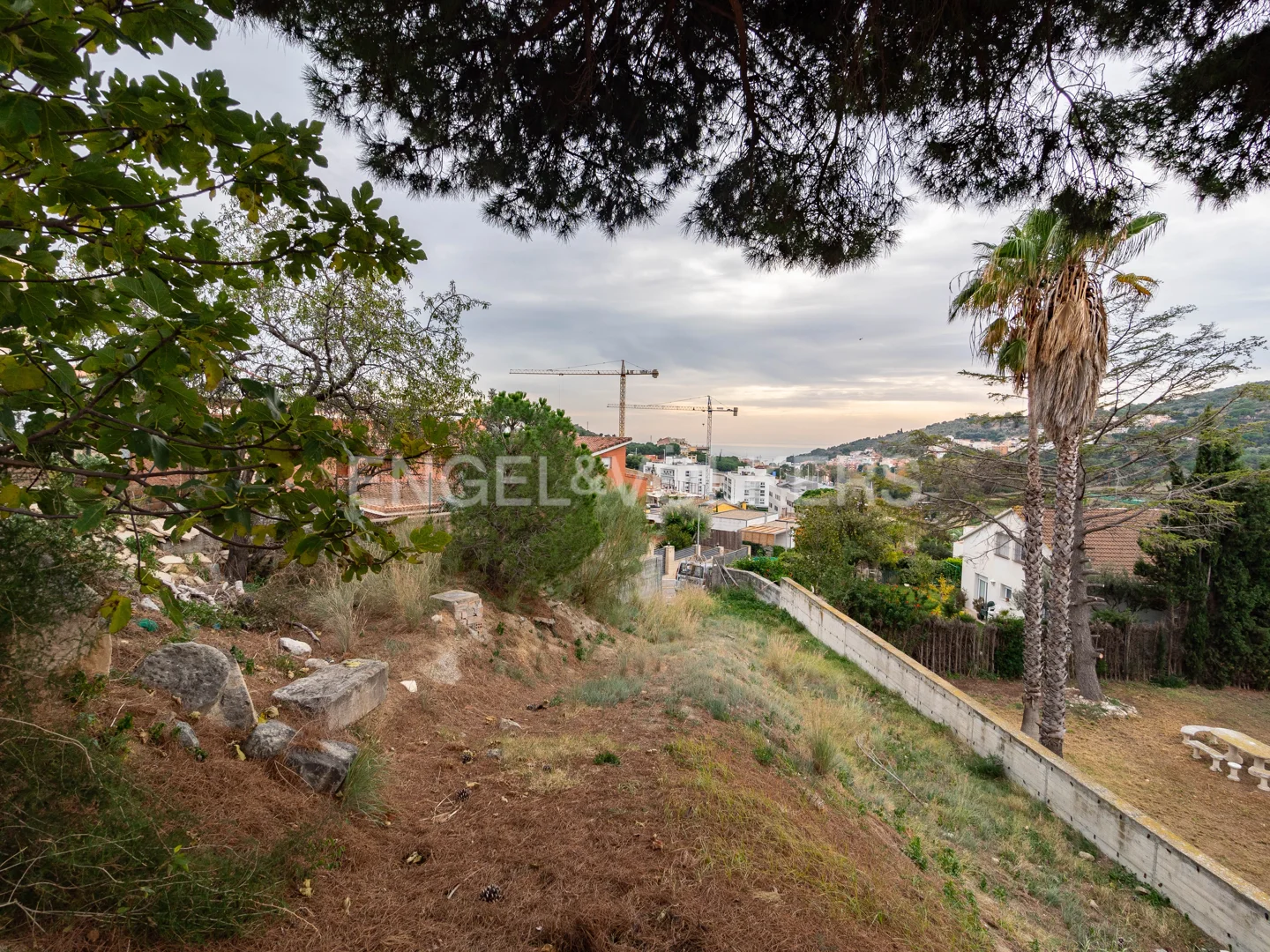 Land in Tiana with sea views