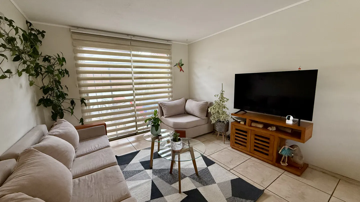 Living room with beige sofa, corner chair, and TV. A geometric rug sits under a glass table with plants. A large window with blinds is on the left.