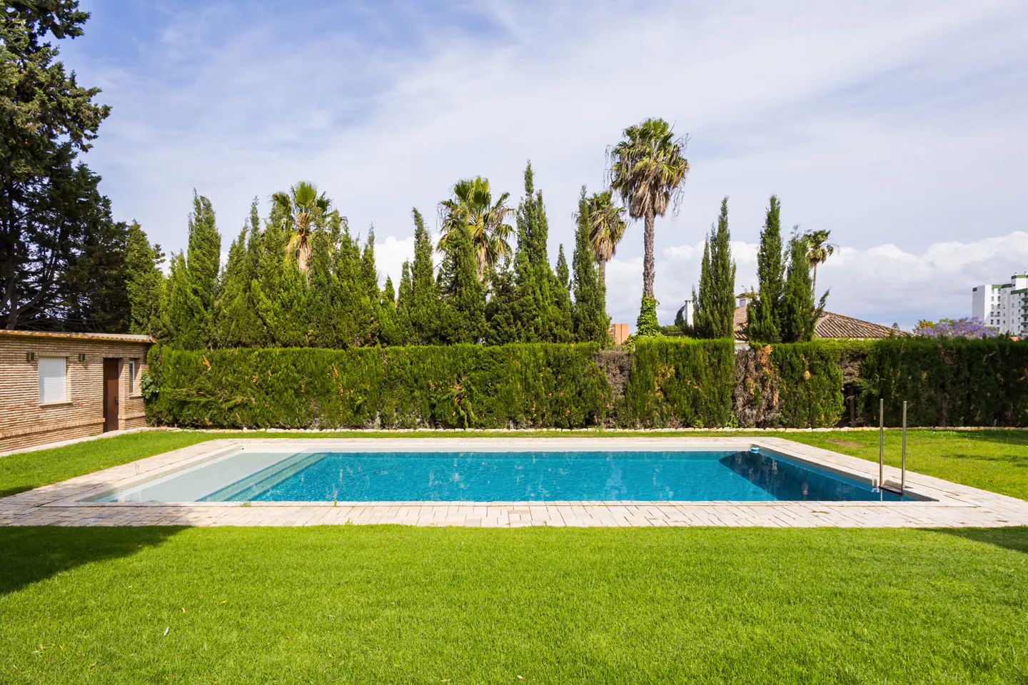 A rectangular blue swimming pool is surrounded by green grass and tall green hedges. Palm trees are visible behind the hedges.
