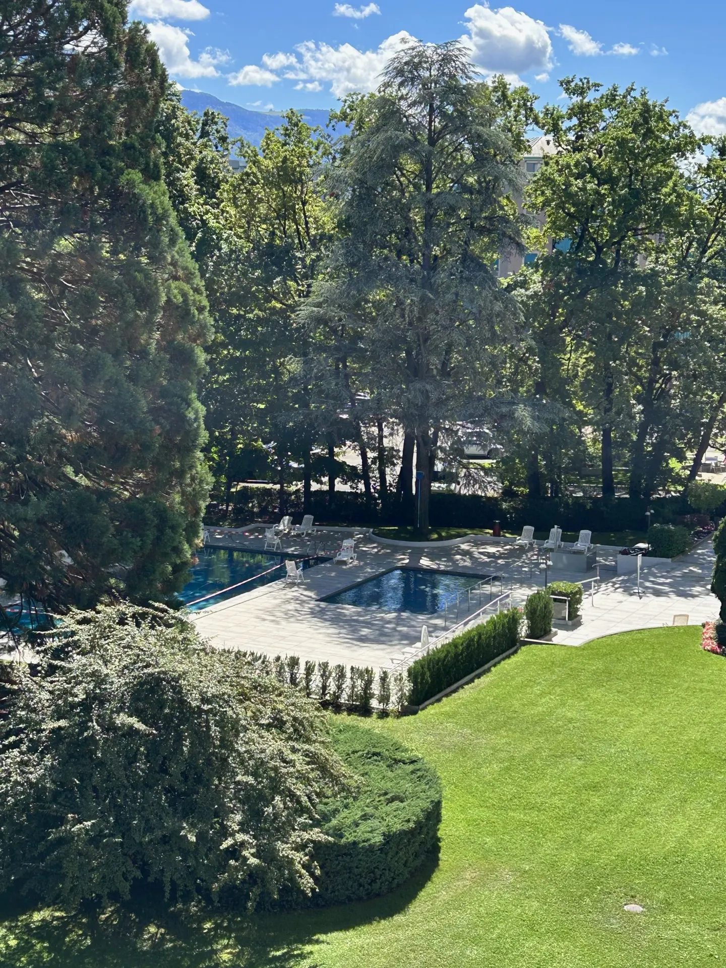 A lush green lawn leads to a pool area with lounge chairs, surrounded by tall trees under a blue, cloudy sky.