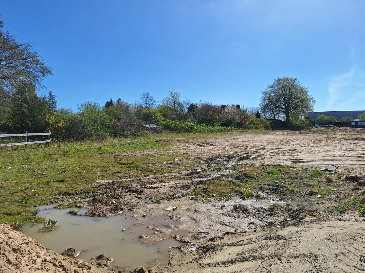 Vacant lot with mud and tire tracks under a blue sky. Trees and shrubs line the back. A puddle sits in the foreground.