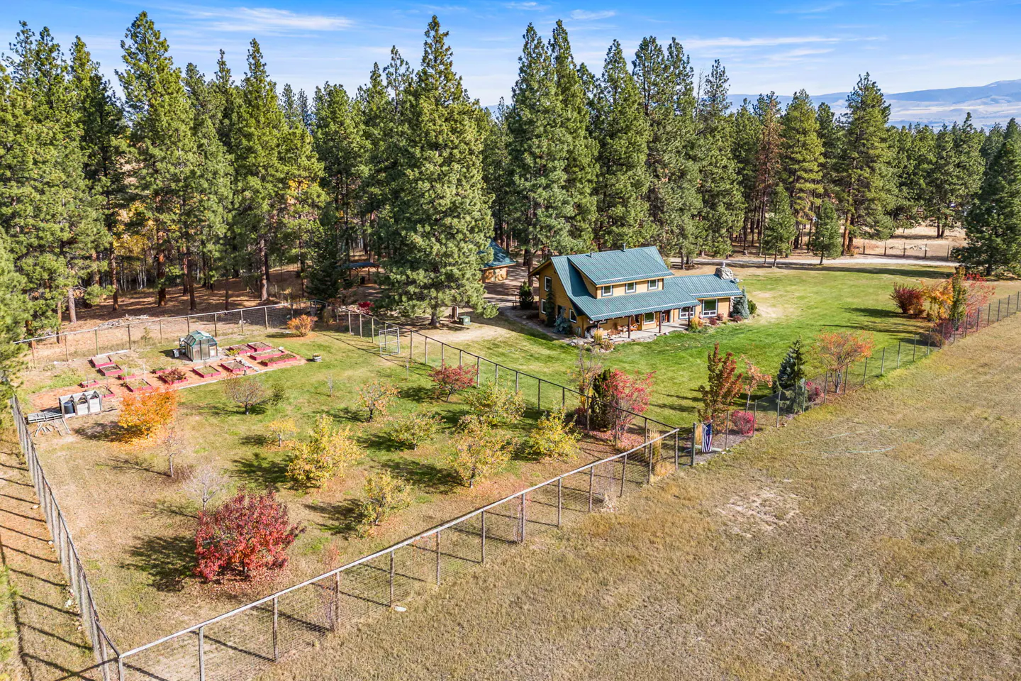 Aerial view of a yellow house with a green roof, surrounded by tall green trees and a fenced-in yard.