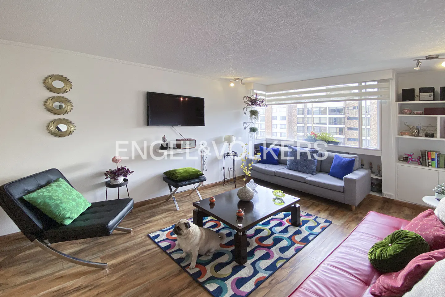 Modern living room with a grey sofa, black lounge chair, red sofa, coffee table, colorful rug, and a pug on the floor.