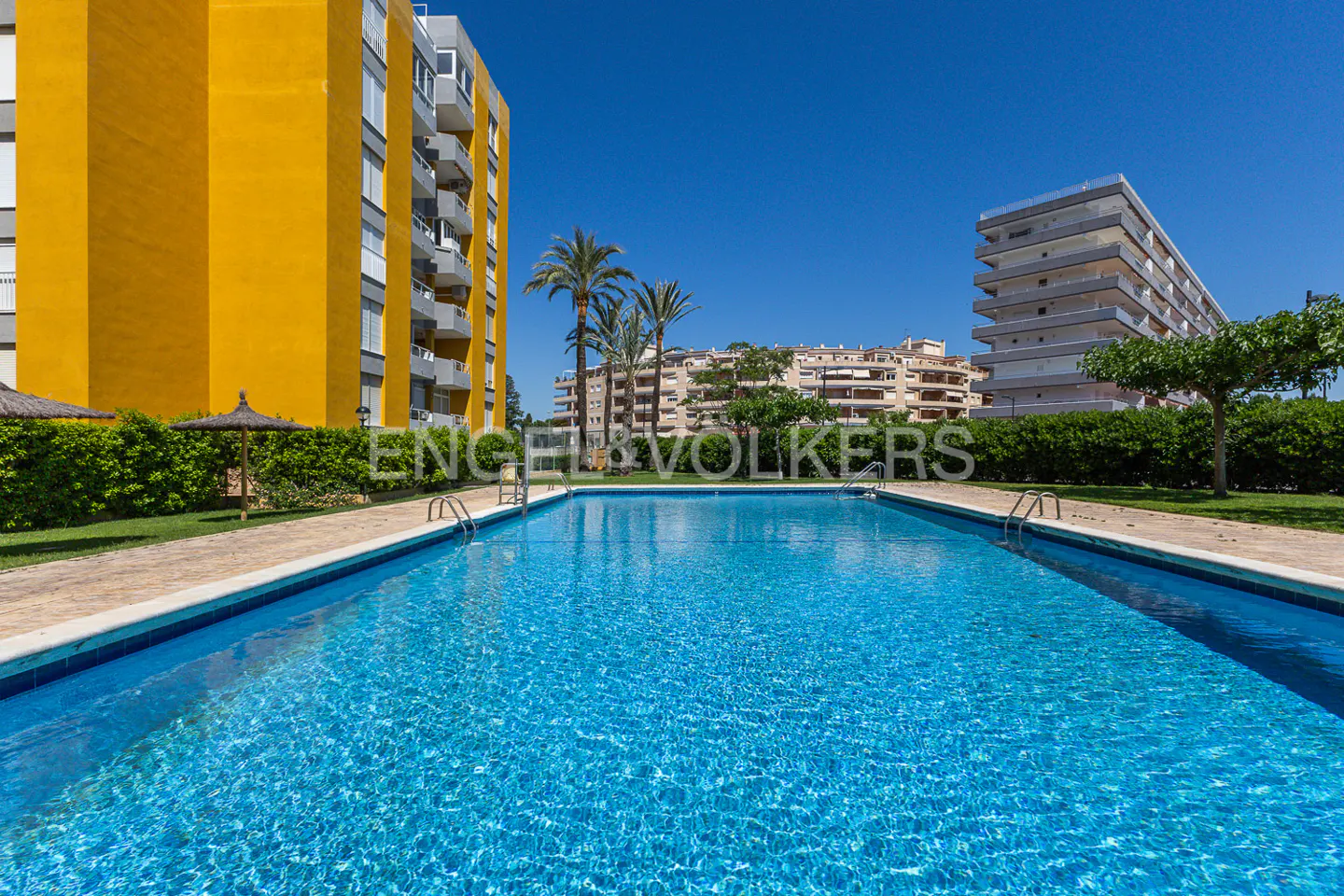 Outdoor pool with blue water, surrounded by buildings, palm trees, and green hedges under a clear blue sky.