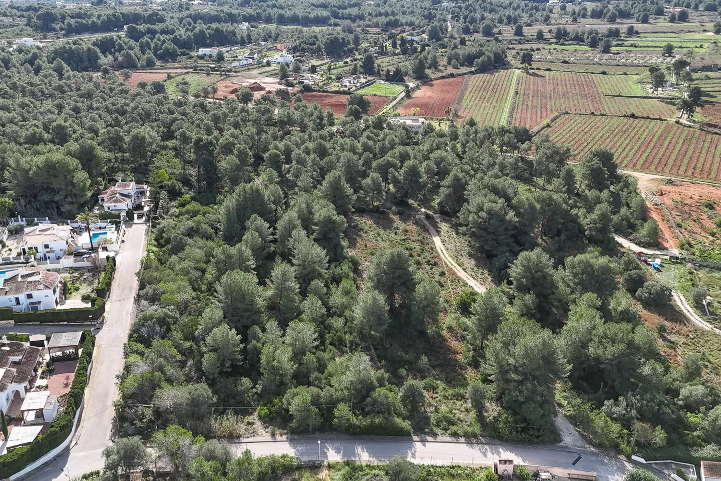 Aerial view of a wooded property with green trees, a dirt path, and a road. In the background are fields and houses.