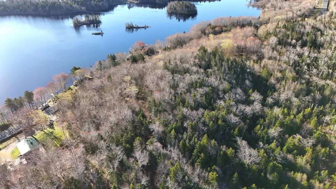 Aerial view of a wooded lot with lake frontage, featuring a small house and a mix of bare and evergreen trees.