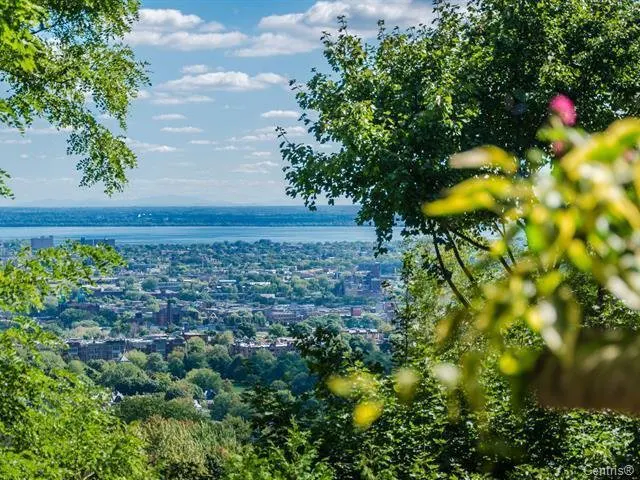 View of a city and river from a green, tree-filled hillside on a sunny day with a blue sky and white clouds.