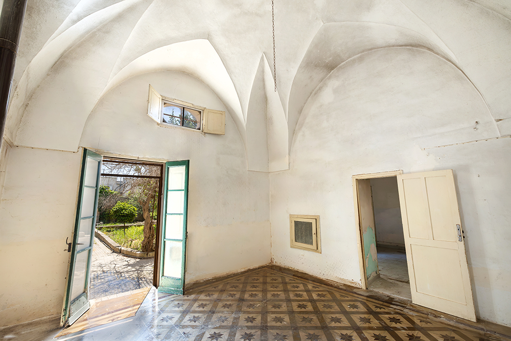 Home with garden and star-vaulted ceilings