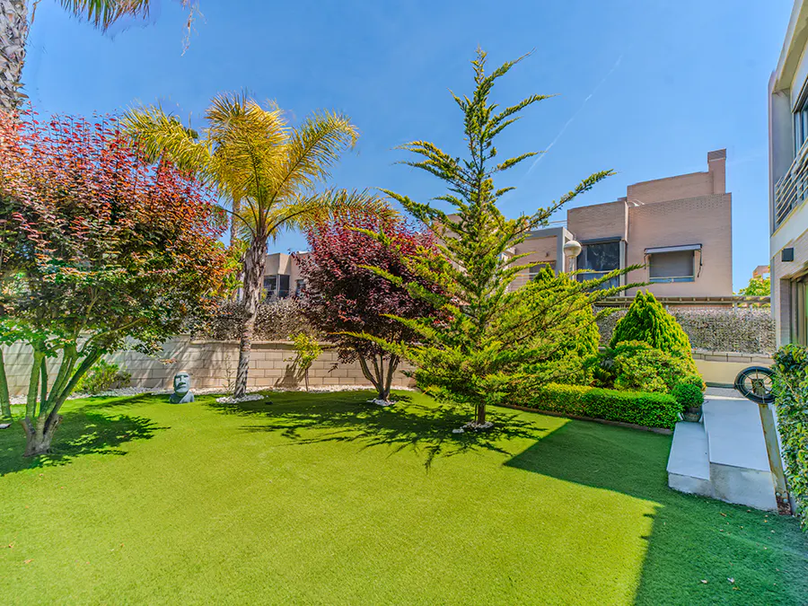 A lush green lawn with trees and shrubs in a backyard setting under a clear blue sky.