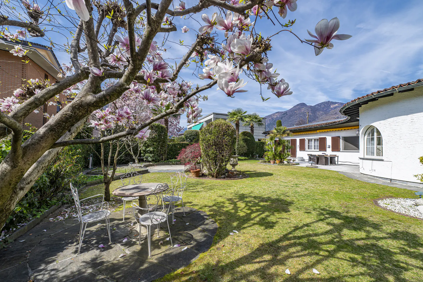 Lush green lawn with a table and chairs, framed by a blooming magnolia tree and a white house in the background.