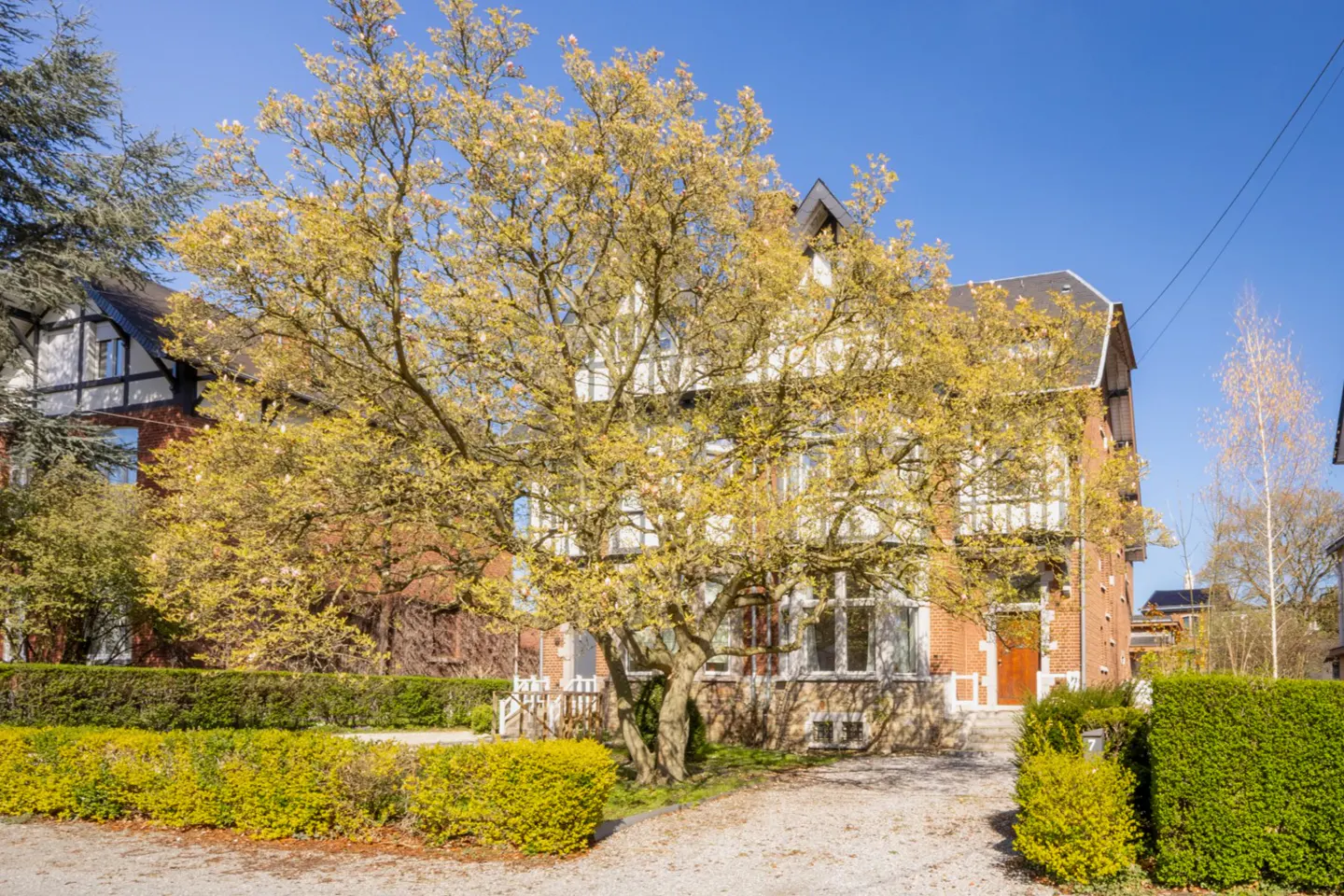 A two-story brick house with white trim is partially obscured by a large tree with yellow leaves.