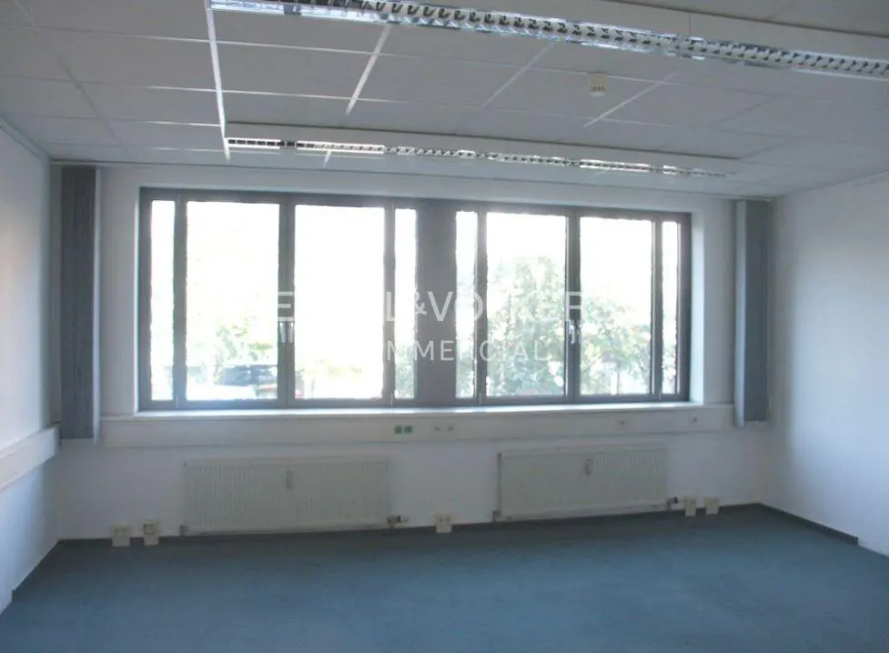 Empty office space with blue carpet, white walls, and large windows. Radiators are under the windows.