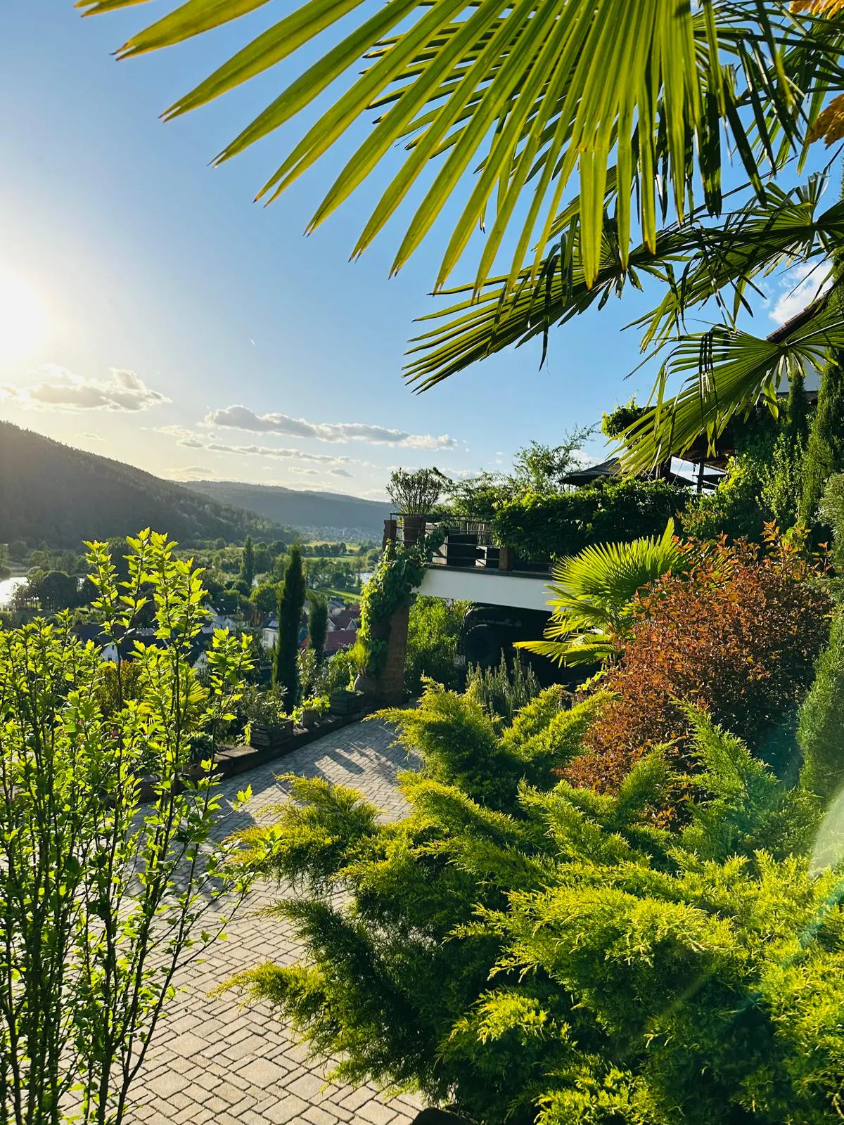 Scenic view of a lush garden with palm trees, overlooking a valley with a river and distant hills under a blue sky.