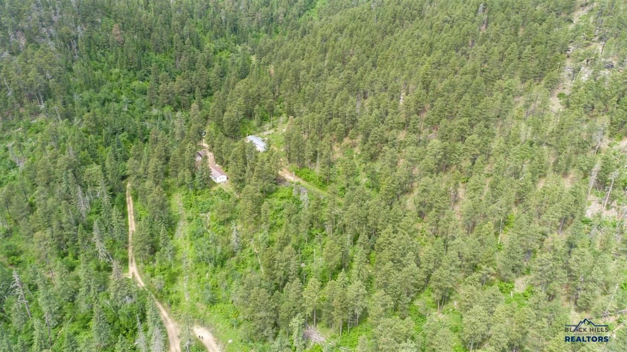 Aerial view of a secluded property with two small buildings nestled in a dense, green pine forest with a dirt access road. [AI-generated text]