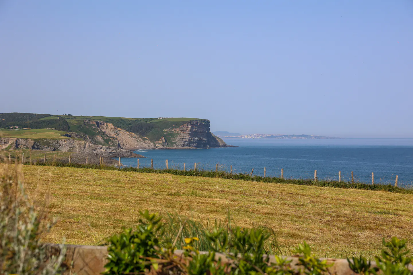 Coastal view with a grassy field, a wooden fence, and a cliff overlooking the blue ocean under a clear sky.
