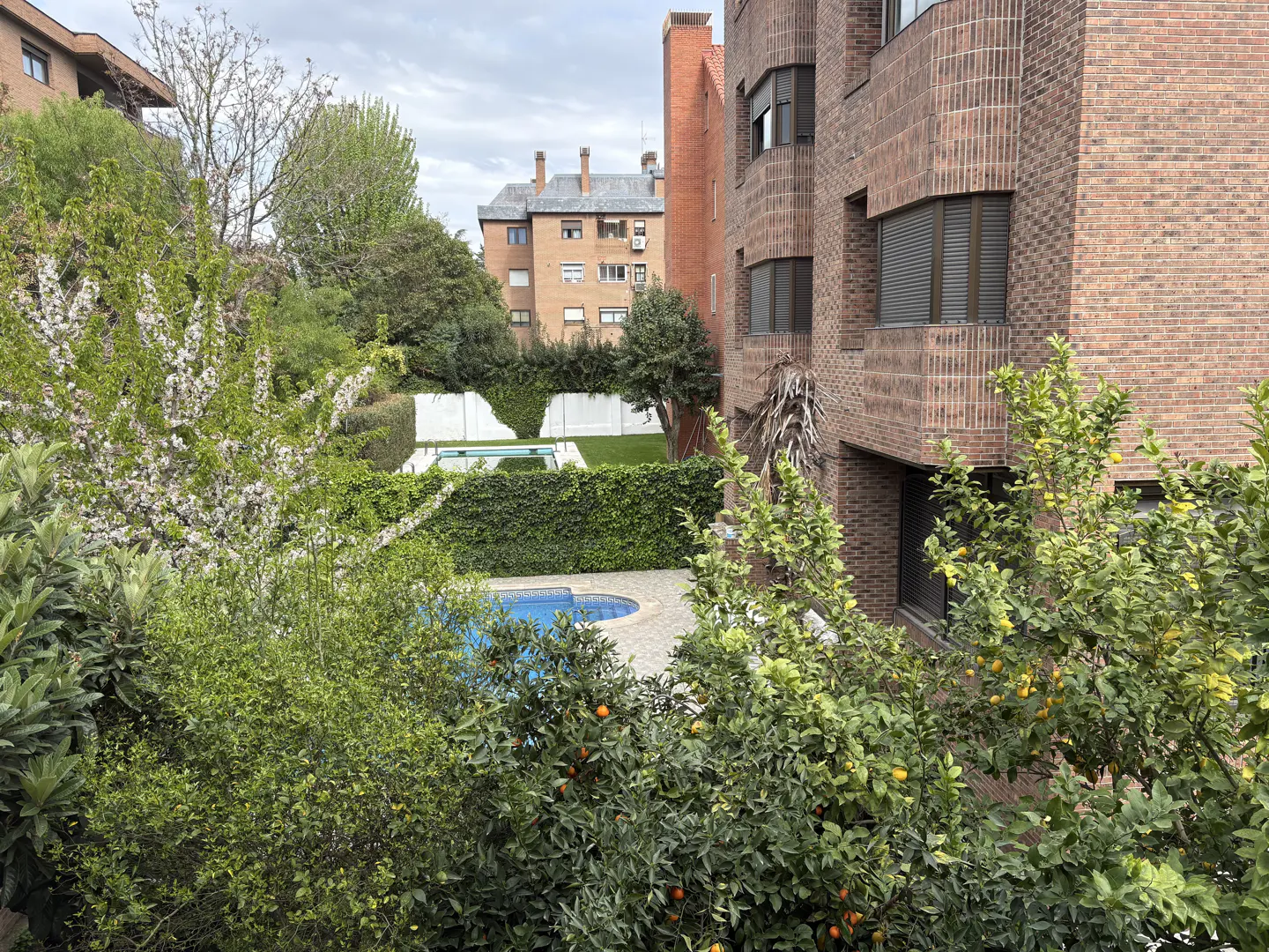 View of a blue swimming pool surrounded by green trees and a brick apartment building.