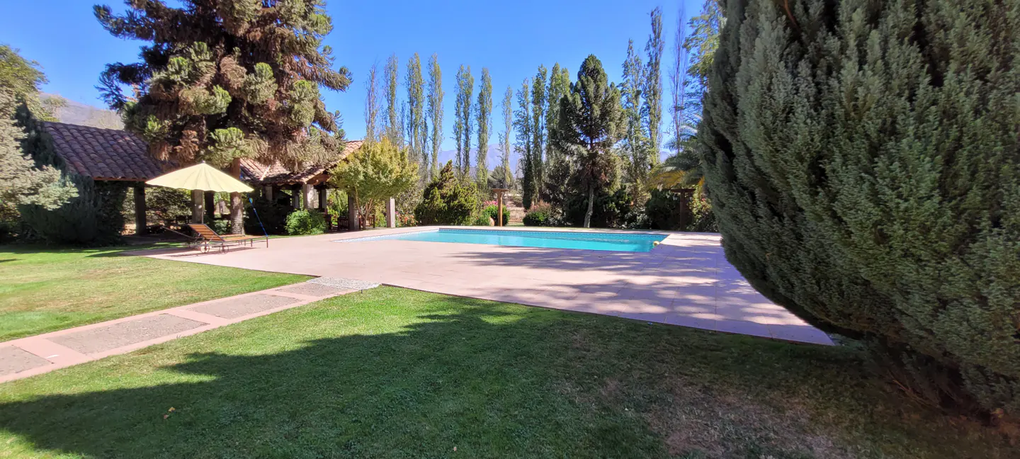 A backyard with a pool, green grass, trees, and a patio with lounge chairs.