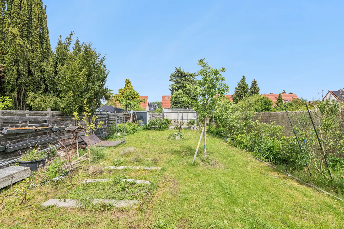 A backyard with a green lawn, trees, and a wooden fence under a clear blue sky.