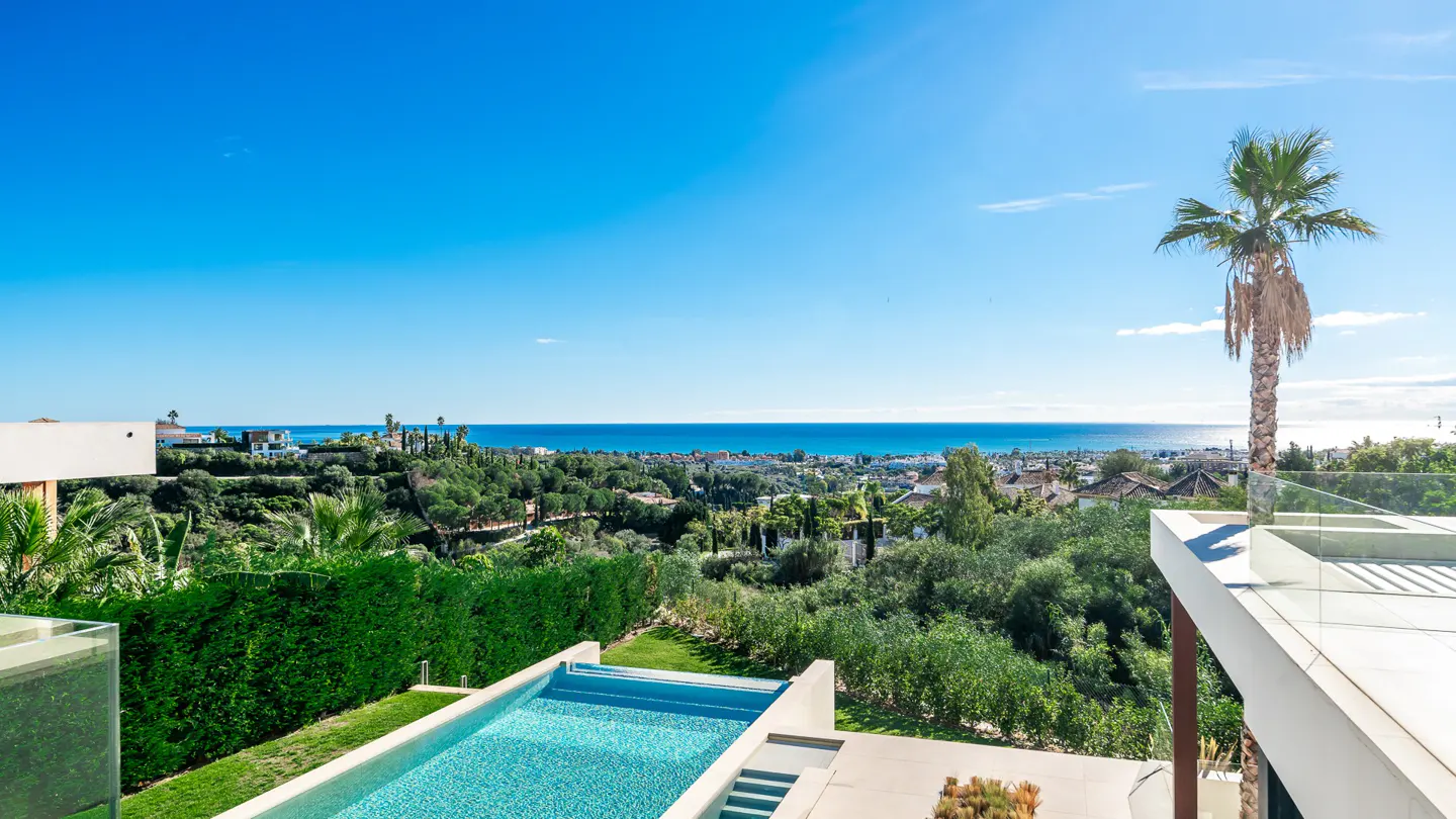 Scenic view of a turquoise pool overlooking lush greenery, the ocean, and a clear blue sky. A palm tree stands to the right.