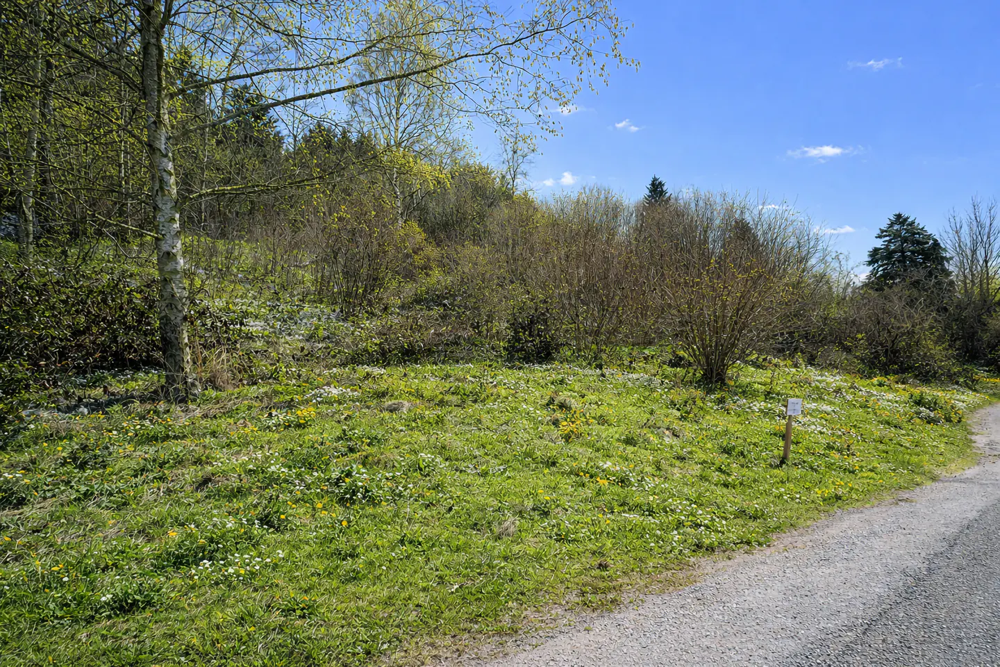 A grassy hillside with wildflowers and trees under a blue sky. A gravel path runs along the right side.