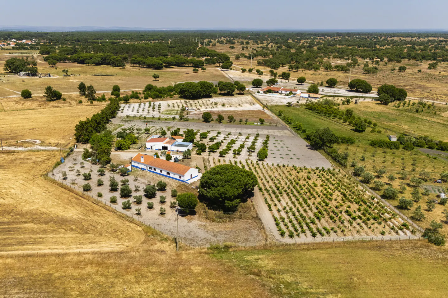 Aerial view of a white farmhouse with a red roof, surrounded by orchards and vineyards in a dry, rural landscape.