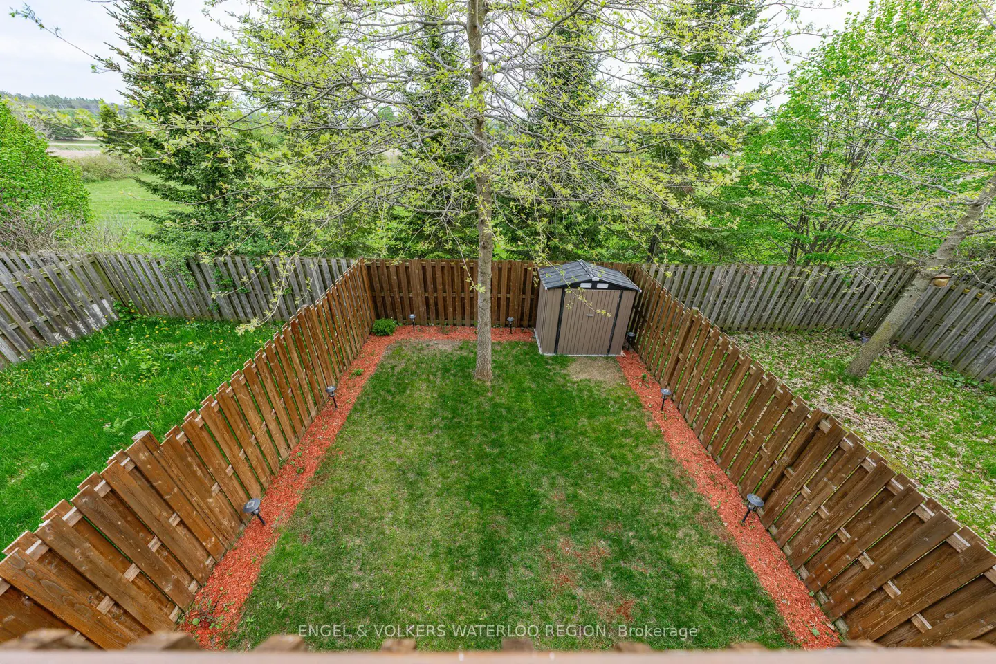 A high angle shot of a fenced backyard with green grass, a tree, and a small shed. The fence is wood and there is red mulch along the edges.