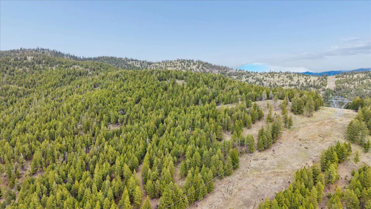 Aerial view of a forested mountain landscape with a power line cut through the trees.